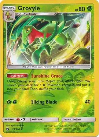Grovyle, catalogue front
