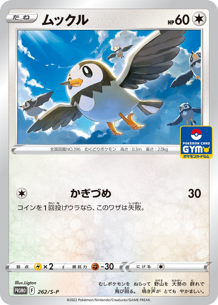 Starly, catalogue front