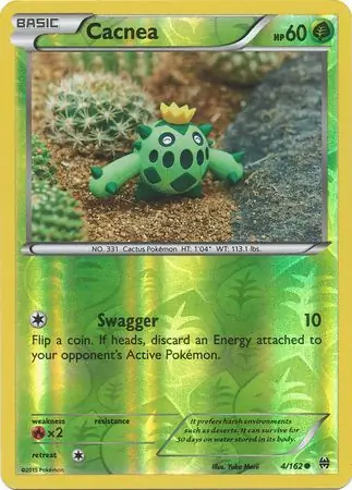Cacnea, catalogue front