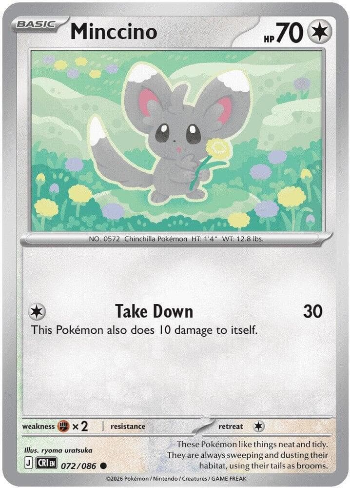 Minccino, catalogue front
