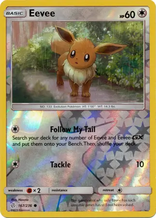 Eevee, catalogue front