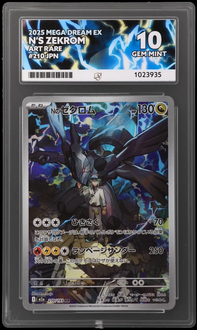 N's Zekrom