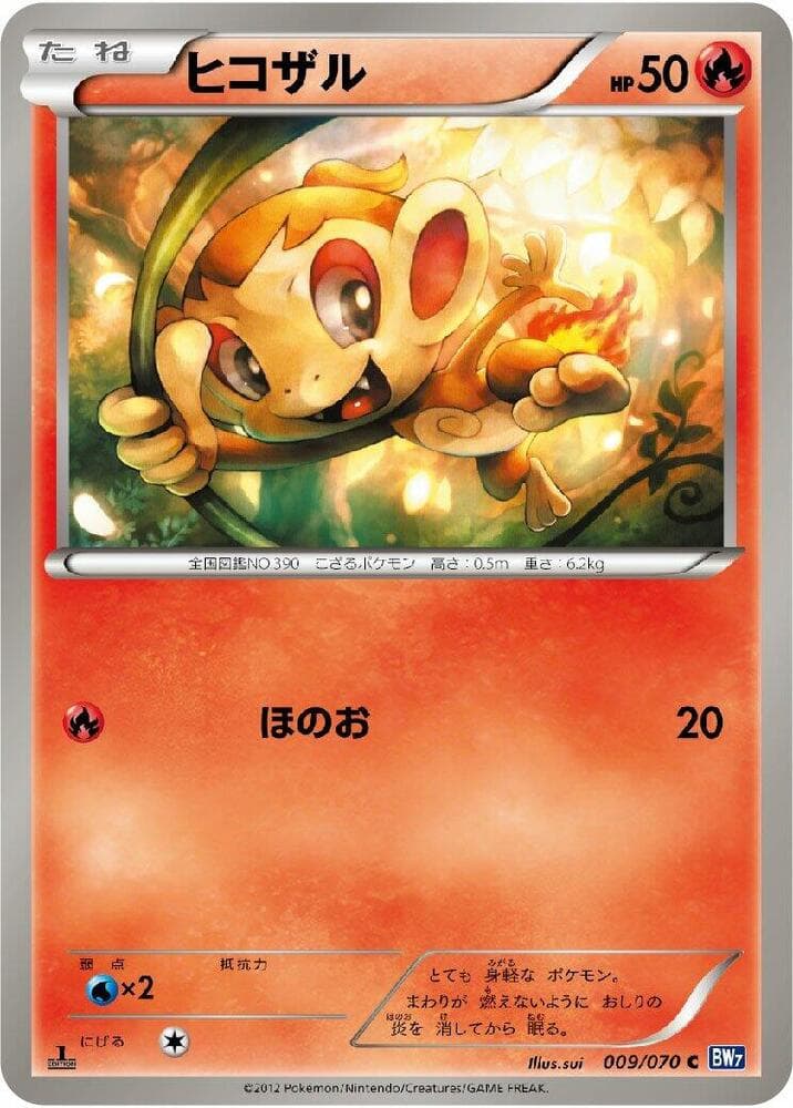 Chimchar 1st Edition
