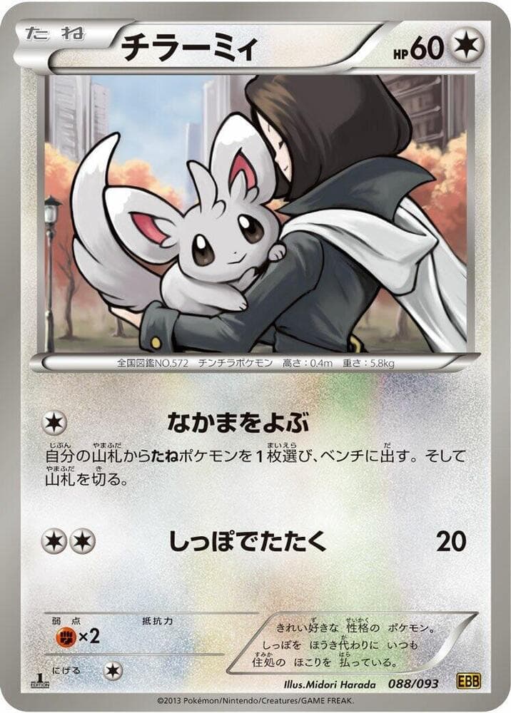 Minccino 1st Edition, catalogue front