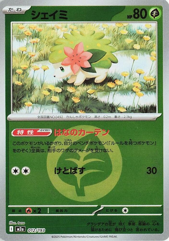 Shaymin Energy Symbol Pattern Holofoil, catalogue front