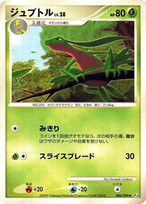 Grovyle 1st Edition