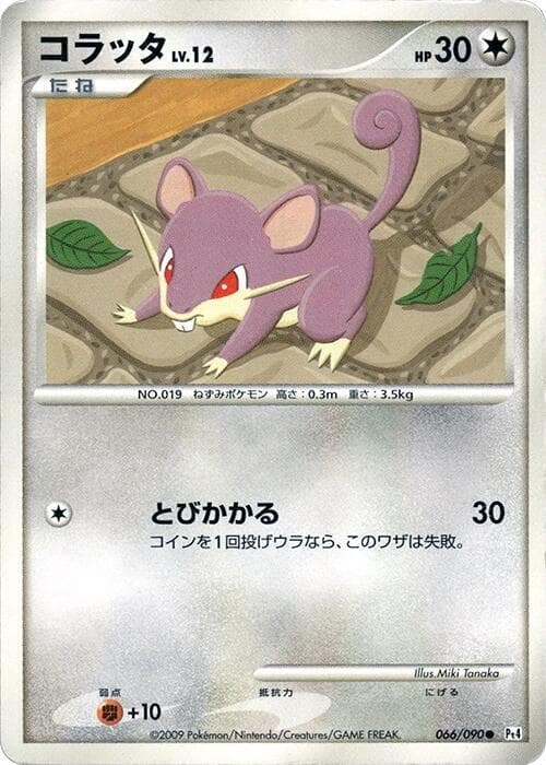 Rattata 1st Edition
