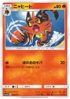 Torracat
