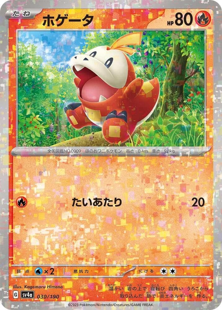 Fuecoco Holofoil