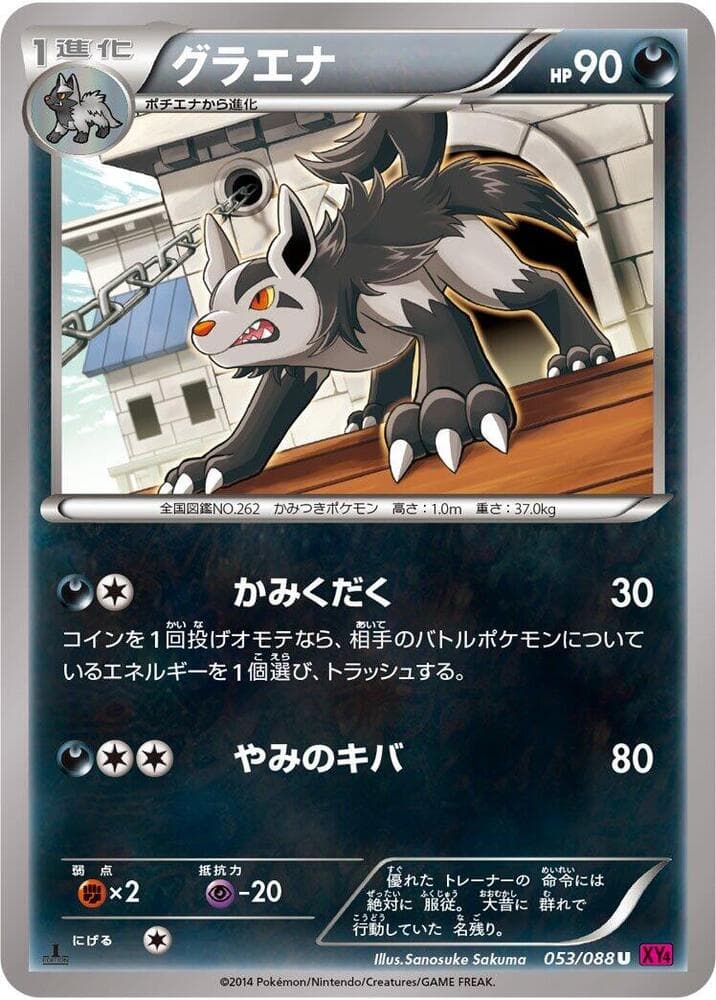 Mightyena 1st Edition, catalogue front