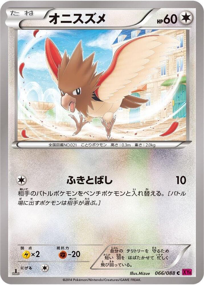 Spearow Unlimited, catalogue front