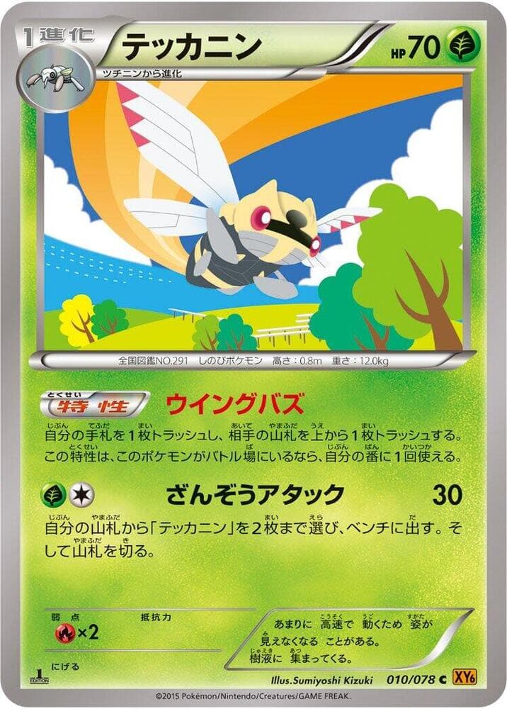 Ninjask 1st Edition, catalogue front