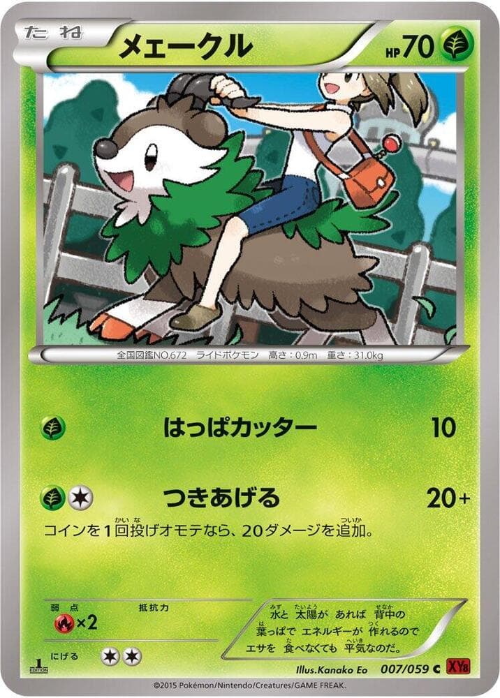 Skiddo 1st Edition, catalogue front