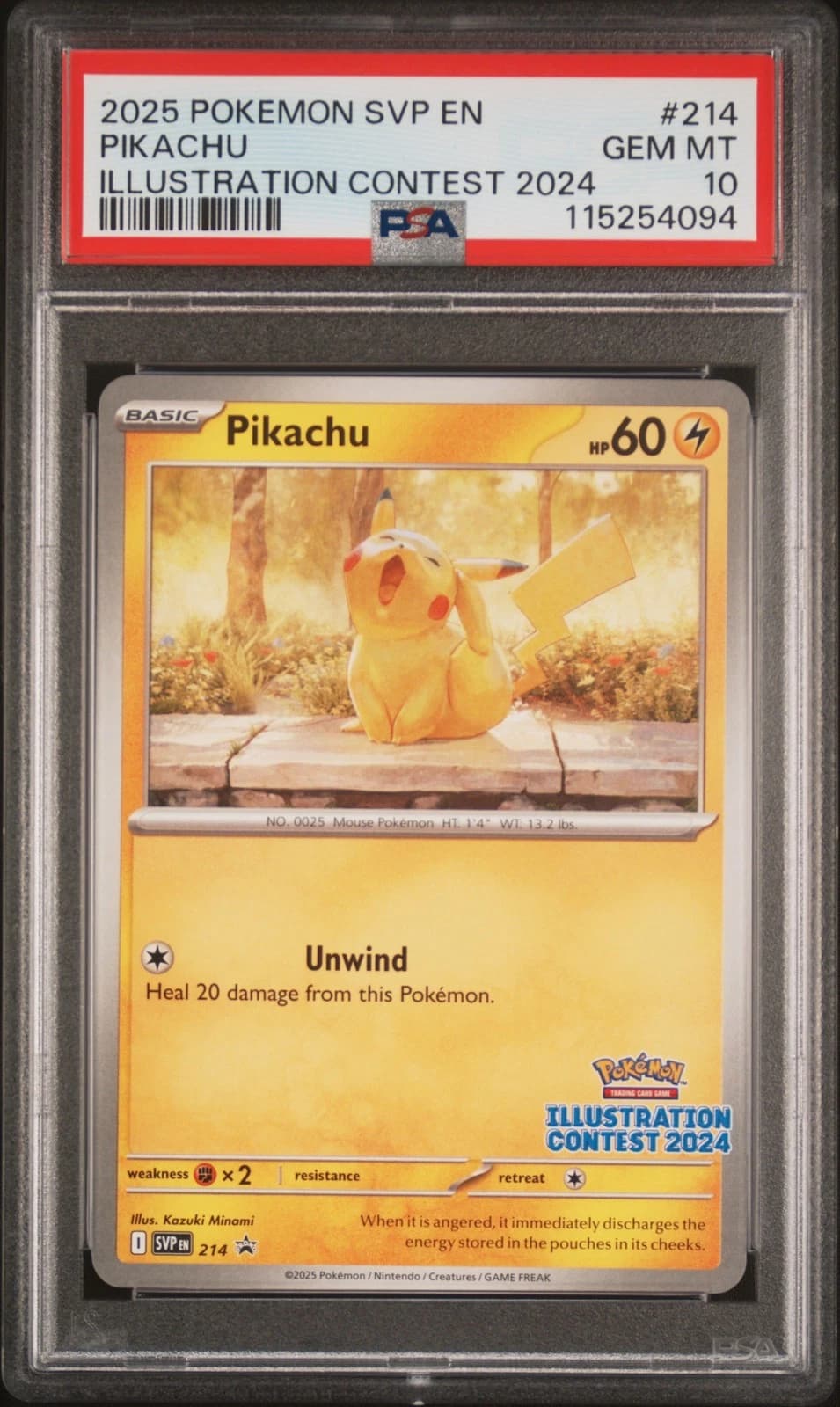 Pikachu #214 (Black Star Promo)