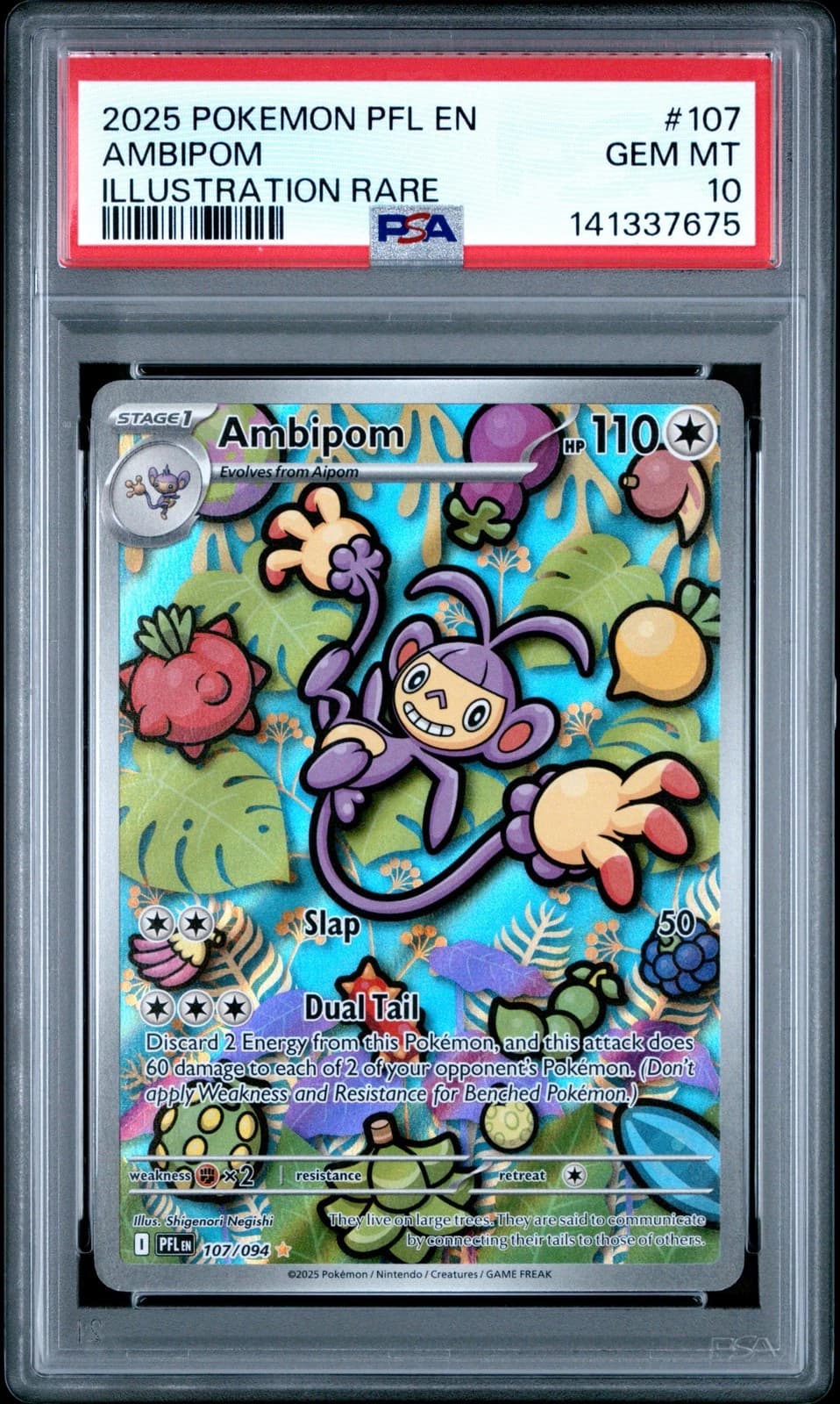 Ambipom #107 (Unknown)