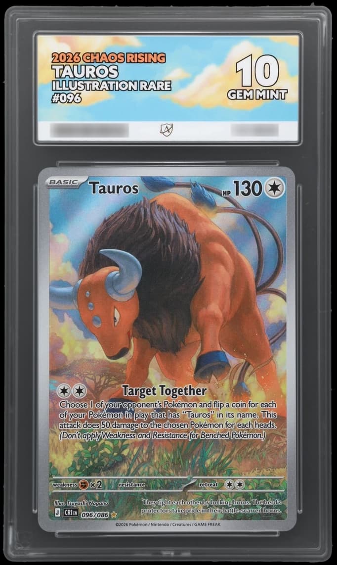 Tauros, ACE 10 slab