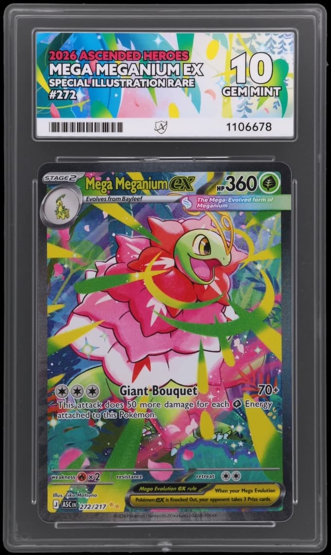 Mega Meganium ex, ACE 10 slab